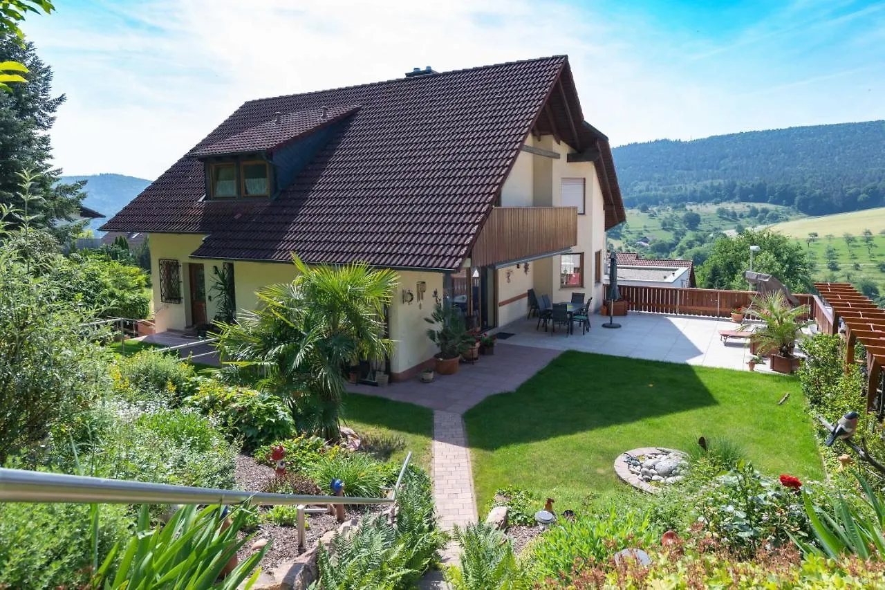 Ferienwohnung Hauk Laudenbach  0*, Laudenbach (Bavaria)